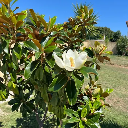 Héliopolis Pensión 4*