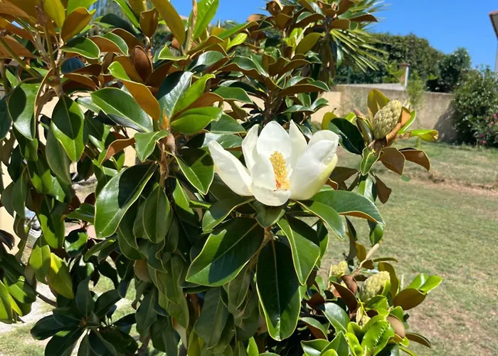 Heliopolis Gasthof 4*